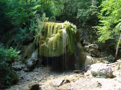 Прикрепленное изображение: DSC09883.JPG